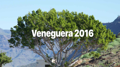 Proyecto Veneguera 2016 creado por Mercedes Sánchez Rico